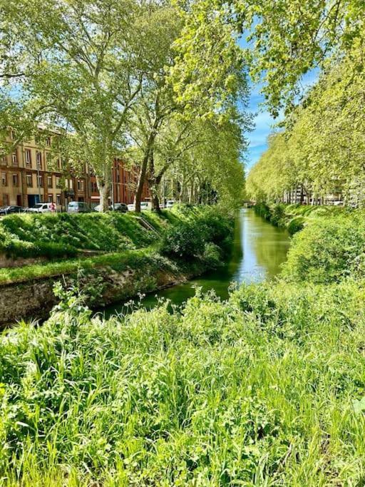 Le Romy Apartman Toulouse Kültér fotó