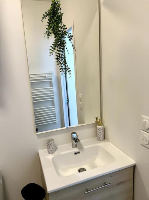 Le Romy Apartman Toulouse Kültér fotó